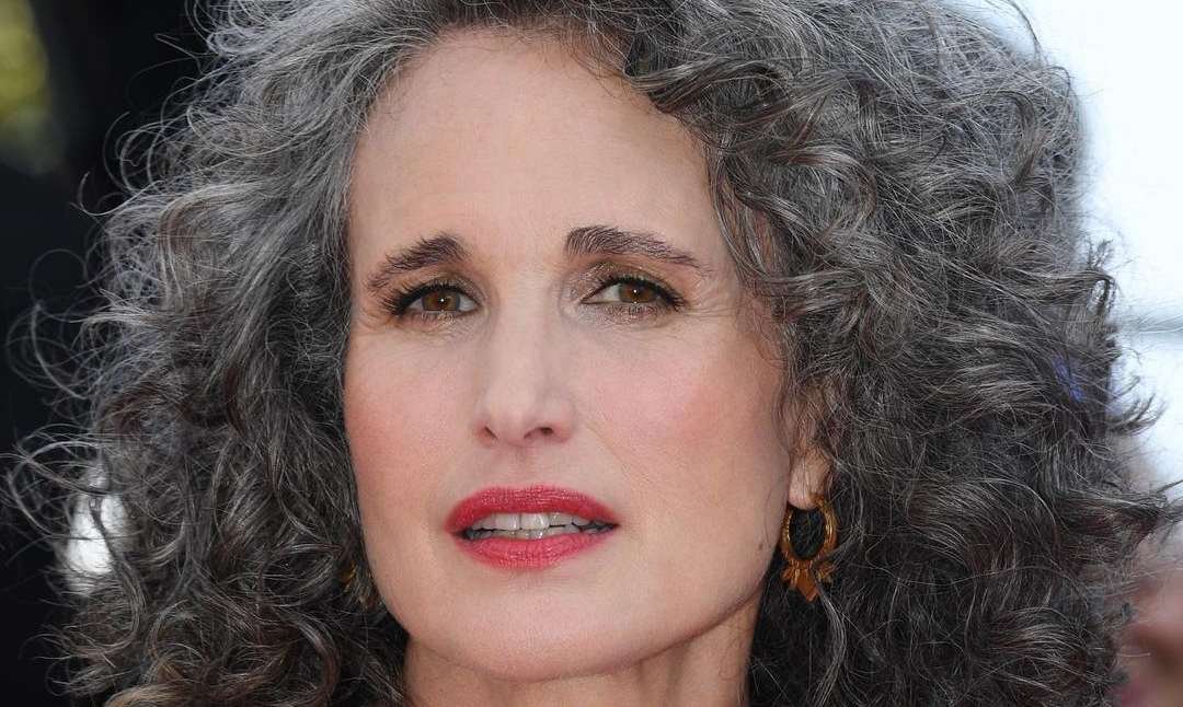 Cómo se realiza la técnica de mechas grey blending | L’Oréal Paris