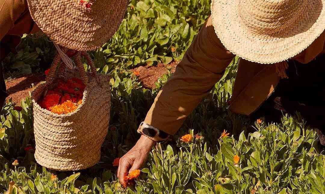 Elige la cosmética sostenible y únete al cambio | L'Oréal Paris