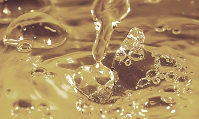 Qué es la huella hídrica y por qué es importante para el futuro del planeta. | L'Oréal Paris