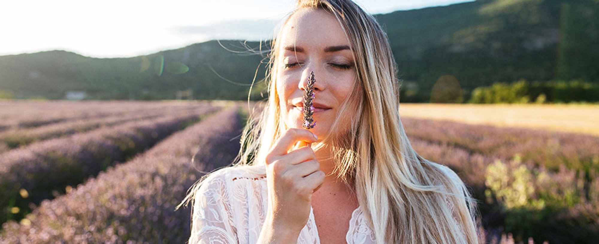 Mujer oliendo lavanda fresca en un campo color malva