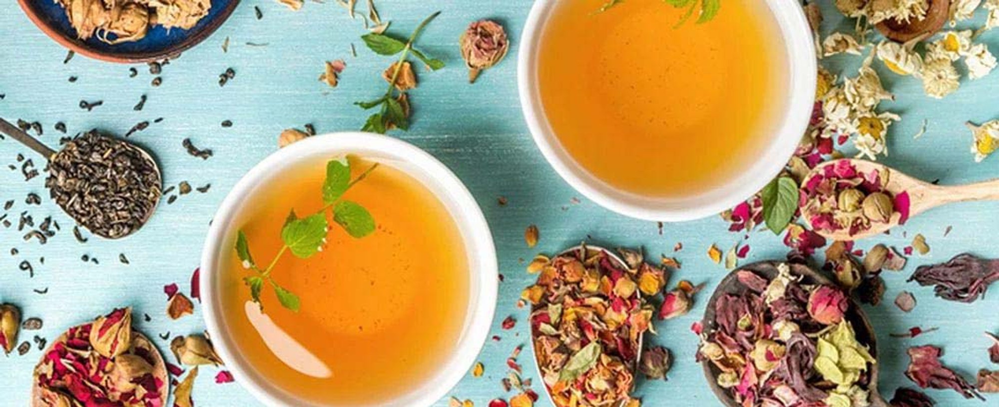 echale cilantro a tu plan detox