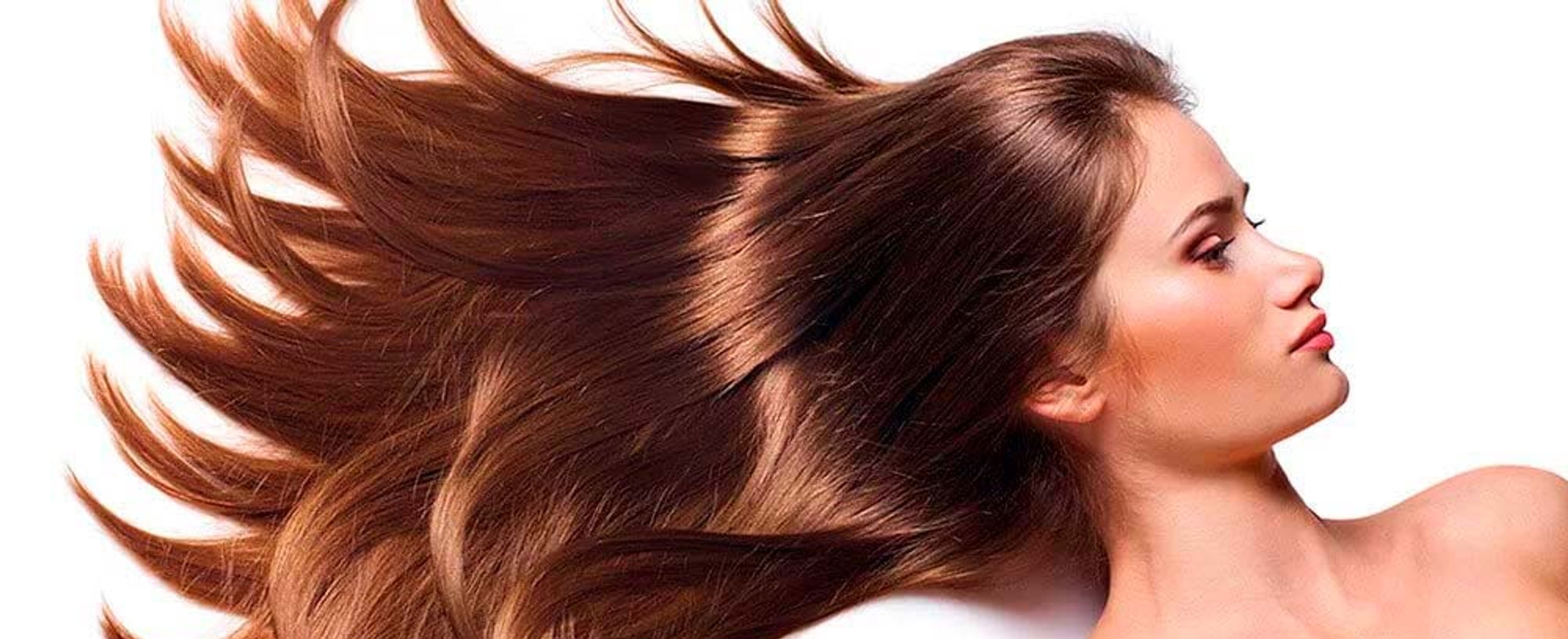 peinados secador pelo profesional