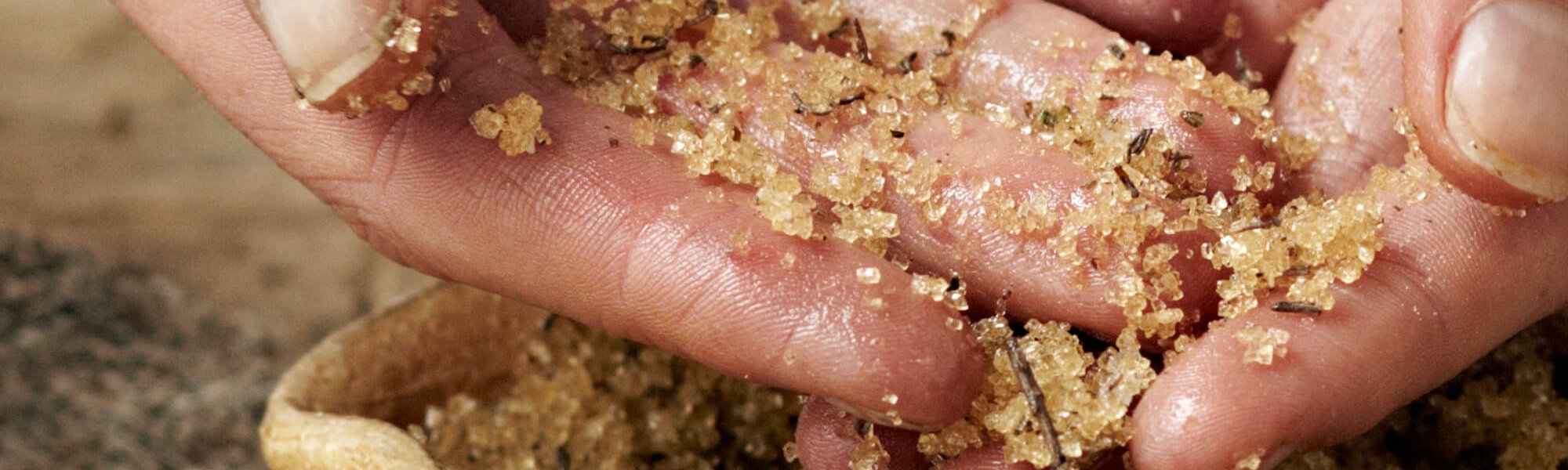 Revelacion De Secretos De Los Exfoliantes Corporales