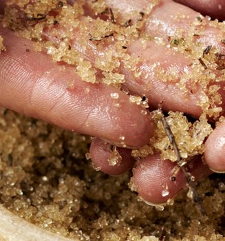 Revelacion De Secretos De Los Exfoliantes Corporales