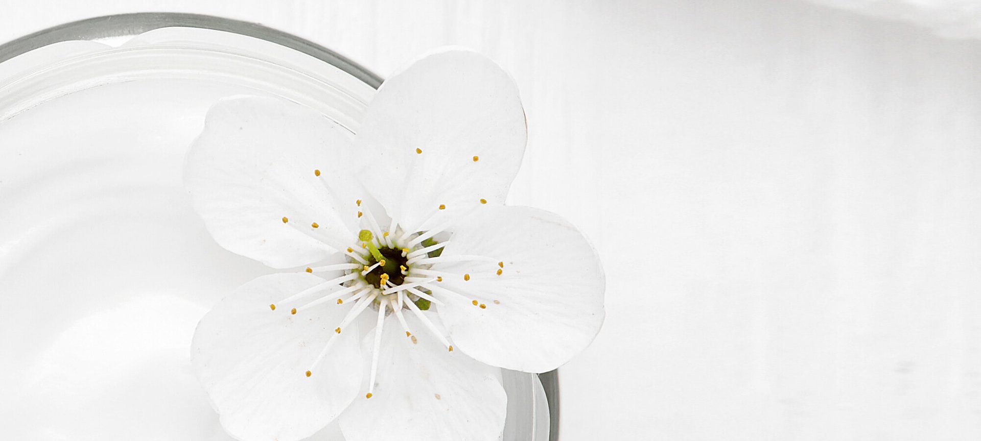 Como Elegir La Crema De Dia Adecuada En Busca De La Piel Perfecta