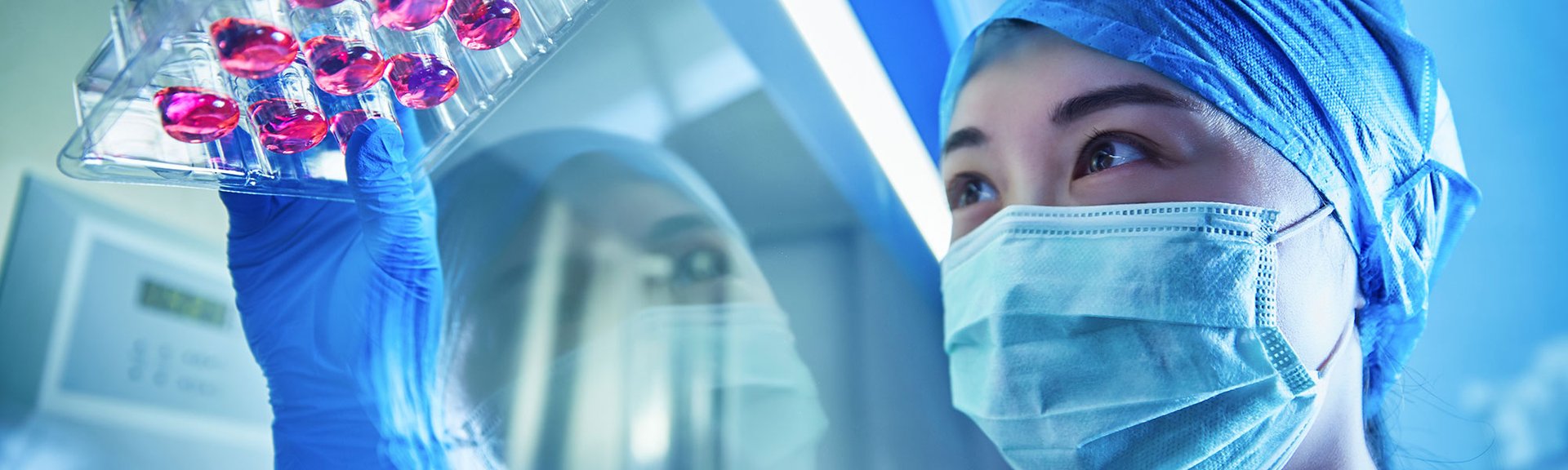 La calidad, eficacia y seguridad de nuestros productos es lo primero para L’Oréal Paris, pero también nuestra ética y nuestro compromiso con el bienestar animal. 