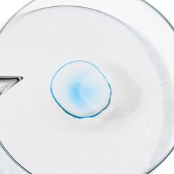 BANNERS HEPES 12