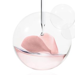 BANNERS PIVOINE 20