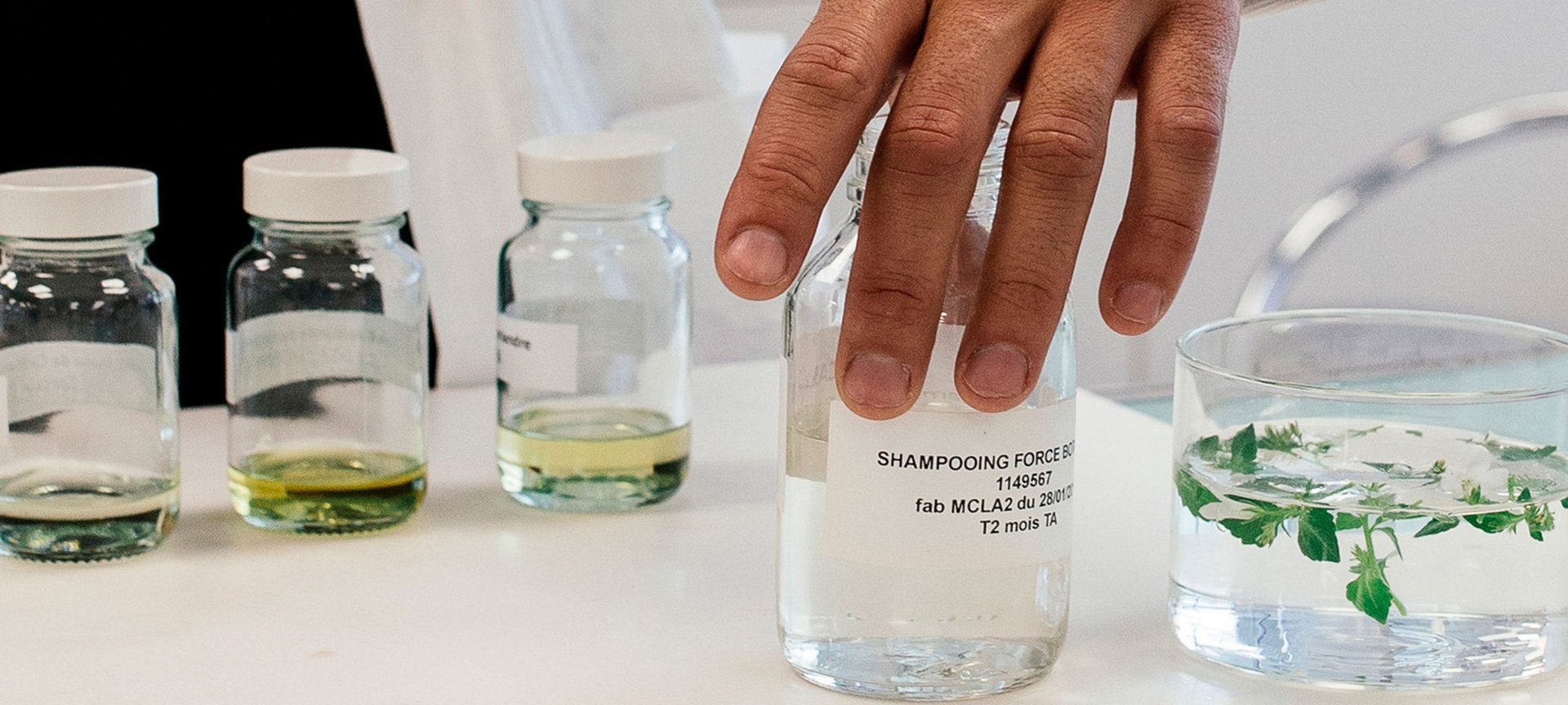 Cabello Cuidados Botanicals Hero