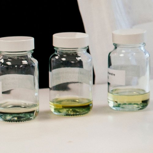 Cabello Cuidados Botanicals Hero