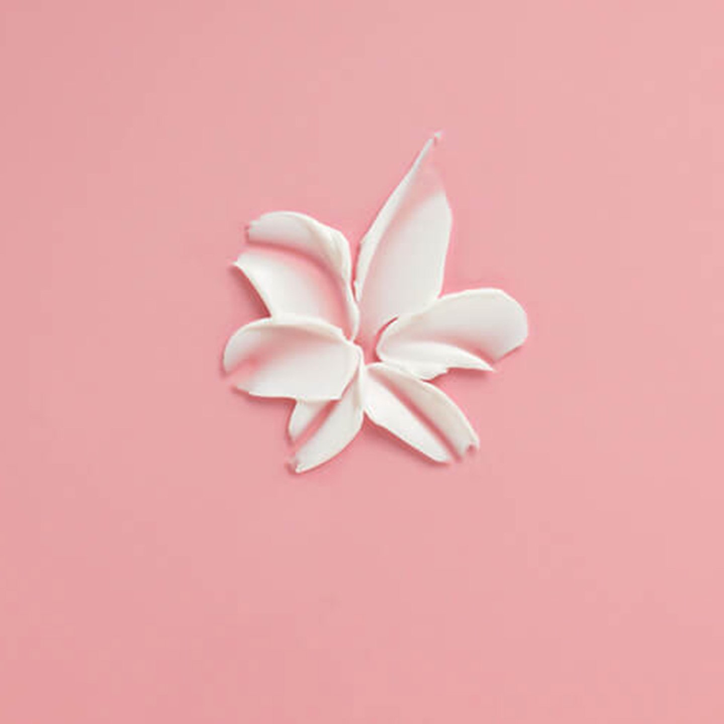 Excellence Coloración Tinte Permanente Crème 5 Castaño Claro | L'Oréal ...