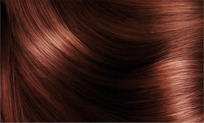 552 Light Mahogany Brown Excellence Intense Hair Swatch