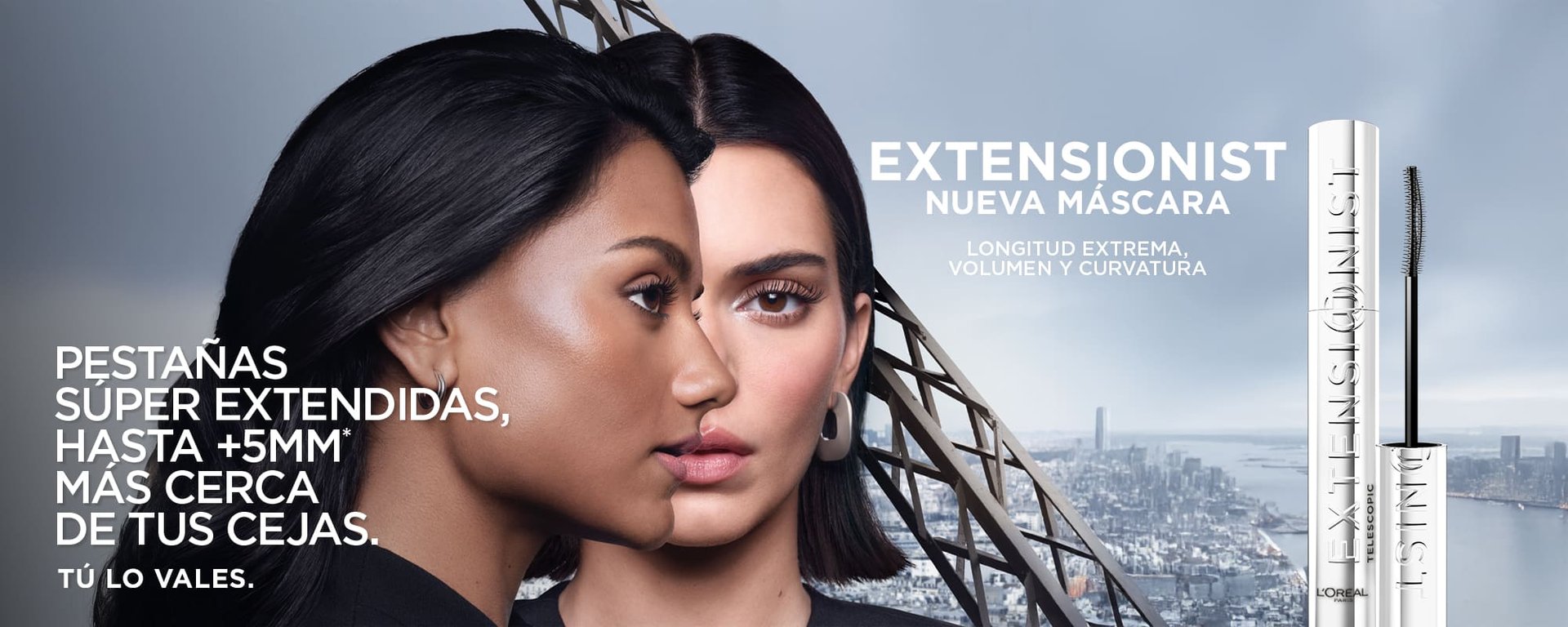 Landing Extensionist (1)