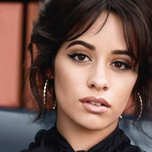 Camila Cabello Brow Artist High Contour