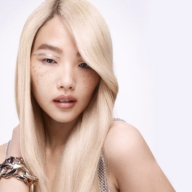 Vignettes  Article Damaged Hair